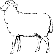 Black And White Sheep Picture Lamb Clipart Black And White Sheep 1 Black White Line Art Coloring Animals Black And White Sheep Drawing Farm Animal Coloring Pages