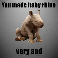 Sad Baby Rhino By 26livingston On Deviantart