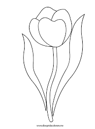 Tulipano Da Colorare Disegni Da Colorare