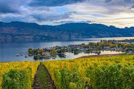 British columbia (bc) is the westernmost province of canada, situated between the pacific ocean and the rocky mountains. 7 Reasons To Move To Kelowna British Columbia Great Canadian Van Lines