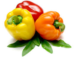 Image result for Capsicum annuum