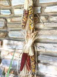 Maybe you would like to learn more about one of these? Thanksgiving Craft With Indian Corn Chatfield Court