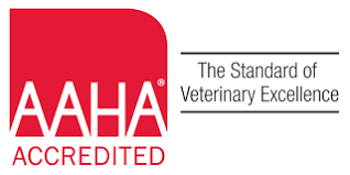 Just as our name implies, all pets veterinary hospital offers care to various species, including dogs, cats, birds, and exotic pets from around the nashua, merrimack, and hudson areas of new hampshire. Our Hospital Vca All About Pets Animal Hospital