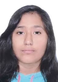 Ingresos de Otorongos Elecciones 2022