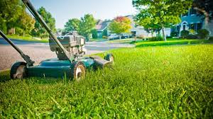 Healthy Lawns for Healthy Water - MWMO