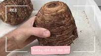 IQF PEELED FROZEN TARO - High Quality Fresh Frozen Taro Cube Slice Stick  IQF Fruits and Vegetables Tapioca Taro Made in Vietnam