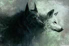 Wolf illustration, multicolored wolf illustration, minimalism. Free Anime Wolf Wallpaper Anime Wolf Wallpaper Download Wallpaperuse 1