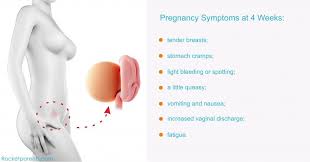 4 Weeks Pregnant Symptoms What To Expect At 4 Weeks Pregnant 4 Weeks Pregnant Baby At 4 Weeks Creative Baby Shower