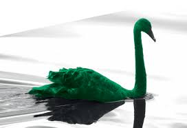 Originally a product of the no wave craze of the early 1980s, they became an ex. Coronavirus Is Bad But The Green Swan Is Worse Ecosystem Marketplace