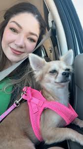 Desoto County Animals for Adoption