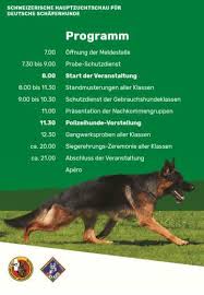 Ein rassetypischer, kurzhaariger schäferhund schaut sehr aufmerksam auf seinen menschen. Deutscher Schaferhund Home Facebook