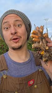 Reasons Curcuma is truly an underrated beauty 🌷