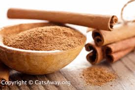 More than 47 chemical compounds have been identified as present in the leaf oil. Is Cinnamon Safe For Cats Page 1 Of 0 Cats Away