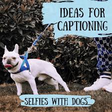 100 Best Captions For Selfies With Dogs Turbofuture