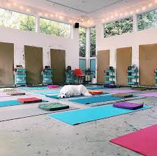 Pearl Dog Practicing Her Downward Dog At The Latest Bloom True Level Two Workshop In Flora Bowley S Backyard A Flora Bowley Backyard Art Studio Backyard Design