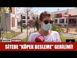 Sitede Kopek Besleme Gerilimi Youtube
