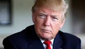 Image result for donald trump