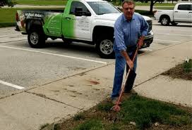 97 reviews ) we provide excellent lawn care services for an affordable price. Lawn Care Indianapolis In Experigreen