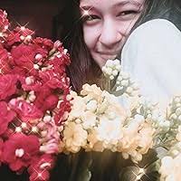 Da Vinci Code Decoded: The Truth Behind the New York Times #1 Bestseller by Martin  Lunn