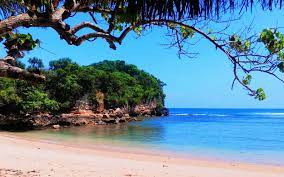 We did not find results for: Pantai Ngliyep Rute Jalan Sejarah Tiket Masuk