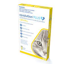 Buy Revolution Plus Yellow Kitten And Small Cat Online Low Prices Free Shipping