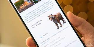 Which animals does it work for? How To Fix When Google S View In 3d Animals Ar Object Doesn T Work 9to5google