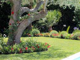 Garden design may be done by the garden owner themselves, or by professionals of varying levels of experience and expertise. Landscape Designer Cote D Azur Riviera Gardens