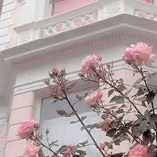 High quality laptop stickers by independent artists and designers from around the world. Aesthetic Flowers Pastel Tumblr Rose Pale Https Weheartit Com Entry 324592696 Pink Aesthetic Flower Aesthetic Pastel Aesthetic