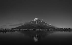 Download the perfect black and white pictures. 30 000 Best Black And White Background Photos 100 Free Download Pexels Stock Photos