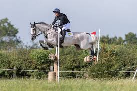 Boyd martin (usa) and on cue currently sit in second. Ballaghmor Class Oliver Townend