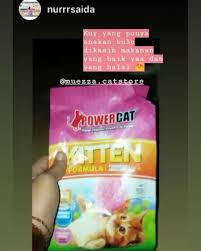 Pin On Catfood