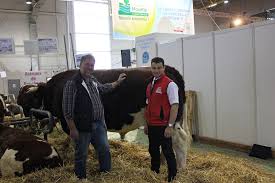 La star du salon de l agriculture 2019 sera une vache bleue du nord. Le 3eme Salon Agricole Agrimax Metz Maine Anjou Verband Deutschland E V