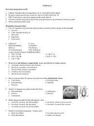 1.jelaskan pengertian segmentasi pasar, dan sebutkan tujuan dilakukannya segmentasi pasar oleh perusahaan jawaban: Contoh Soal Materi Bab Animalia Jawabanku Id