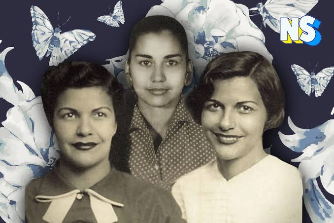The Butterflies' unwavering flight - The Journal
