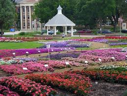 Discount99.us has been visited by 1m+ users in the past month Things To Do In Fort Collins Annual Flower Trial Garden Sep Tech
