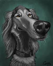 Pencil pet portraits » pet portraits. Pin On 266 Char Reed Usa