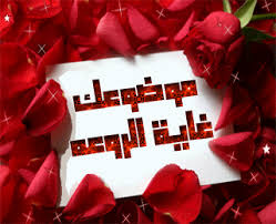 فوائد البسباس Images?q=tbn:ANd9GcSLFw9Qcymbizg7zux9jWHg7im17NzrllaHnal_rj4VOnfLXkLsVw