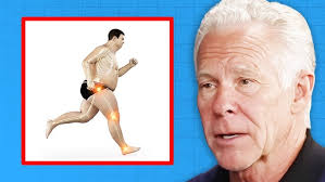 ALIVE Kettlebell Systems