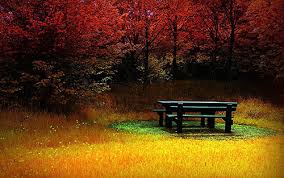 Talisman for the goddess of wealth. 50 Georgeous Nature Wallpapers Smashing Magazine