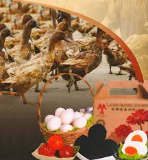 Homecooked salted egg yolk paste is ideal to use for baking such as cookies or bread. Home