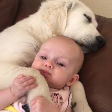 Today's a special episode of the cutest babies! 👶 Here are the 100 CUTEST  giggling, playing, silly babies that we've brought to you!