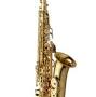 Saxophone from www.connselmer.com