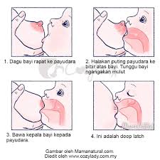 Cara nak buat anak dengan betul. Cara Breastfeeding Yang Betul Ciri Lekapan Baik Cozy Lady