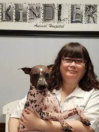 Belmont pet hospital is located in san mateo city of california state. Vet Team Kindler Animal Hospital