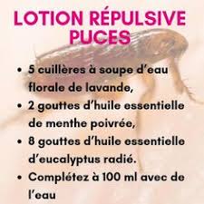 Un collier antipuce fait maison il est également possible de confectionner un collier antipuce naturel en diluant 5 gouttes d'huile essentielle de lavande, d' eucalyptus, de citron ou de cèdre dans 3 cuillères à soupe d'eau. 8 Meilleures Idees Sur Huile Essentielle Anti Puce Huile Essentielle Anti Puce Anti Puce Puce