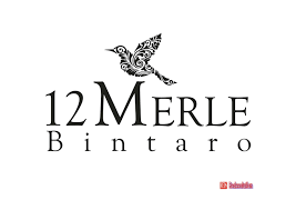 We did not find results for: Marketing 12 Merle Bintaro I Info Harga I Info Bintaro I