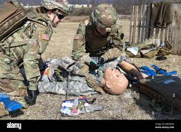 Combat medics with the Pennsylvania National Guard provide security while  another renders tactical field care to a simulated casualty as part of the  TC8-800 medic sustainment course March 2 at Fort Indiantown