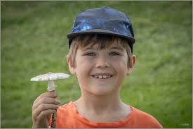 We visited Grey Goose Game Lodge today for a bite to eat and a little hike.  After the recent rain we have had, I was hoping for the emergence of some  interesting