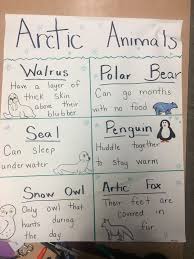 Arctic Animal Anchor Chart School Kindergarten Elementary