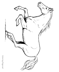 Coloring pages for adults ly. Horse Running Coloring Pages Coloring Home
